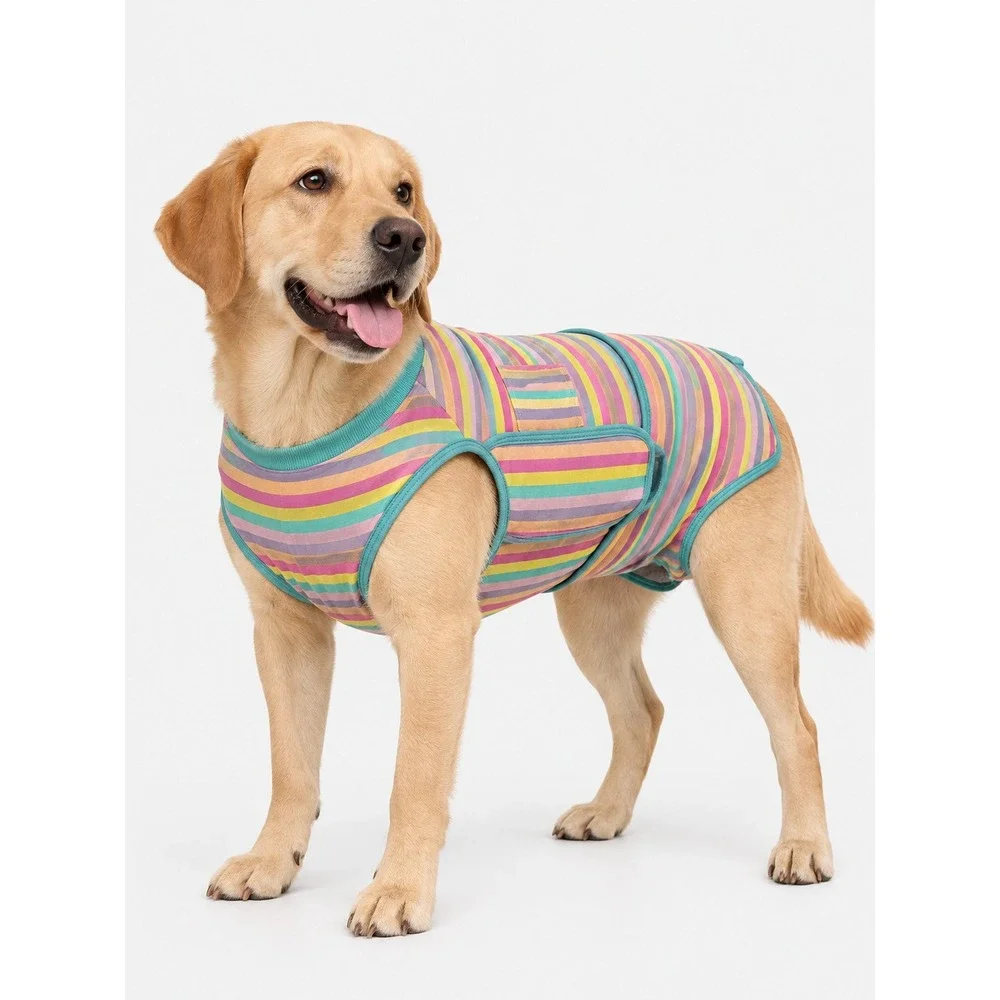 Kuoser Striped Pet Suit Multicolor Cotton Blend Size L NWT New